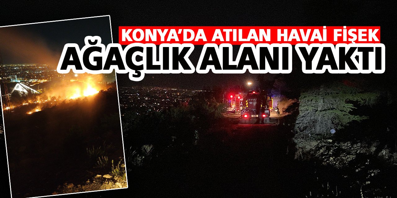 Konya’da atılan havai fişek ağaçlık alanı yaktı