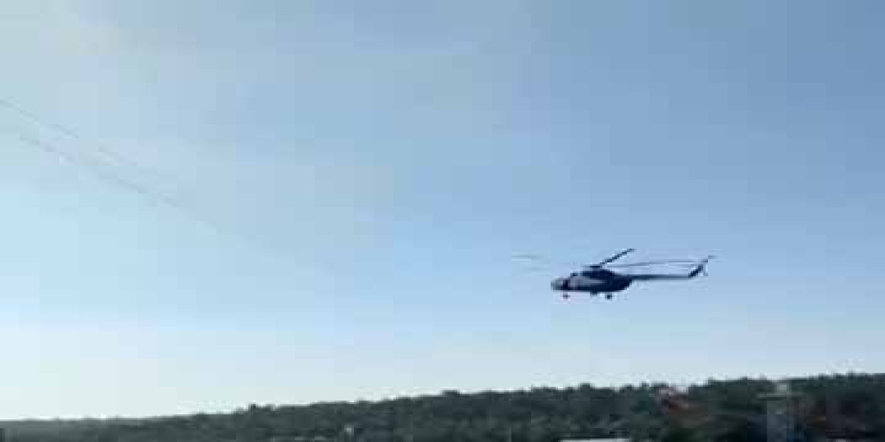 Bursa'da orman yangını