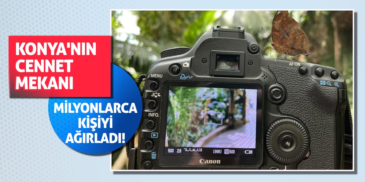 Konya'nın cennet mekanı milyonlarca kişiyi ağırladı!
