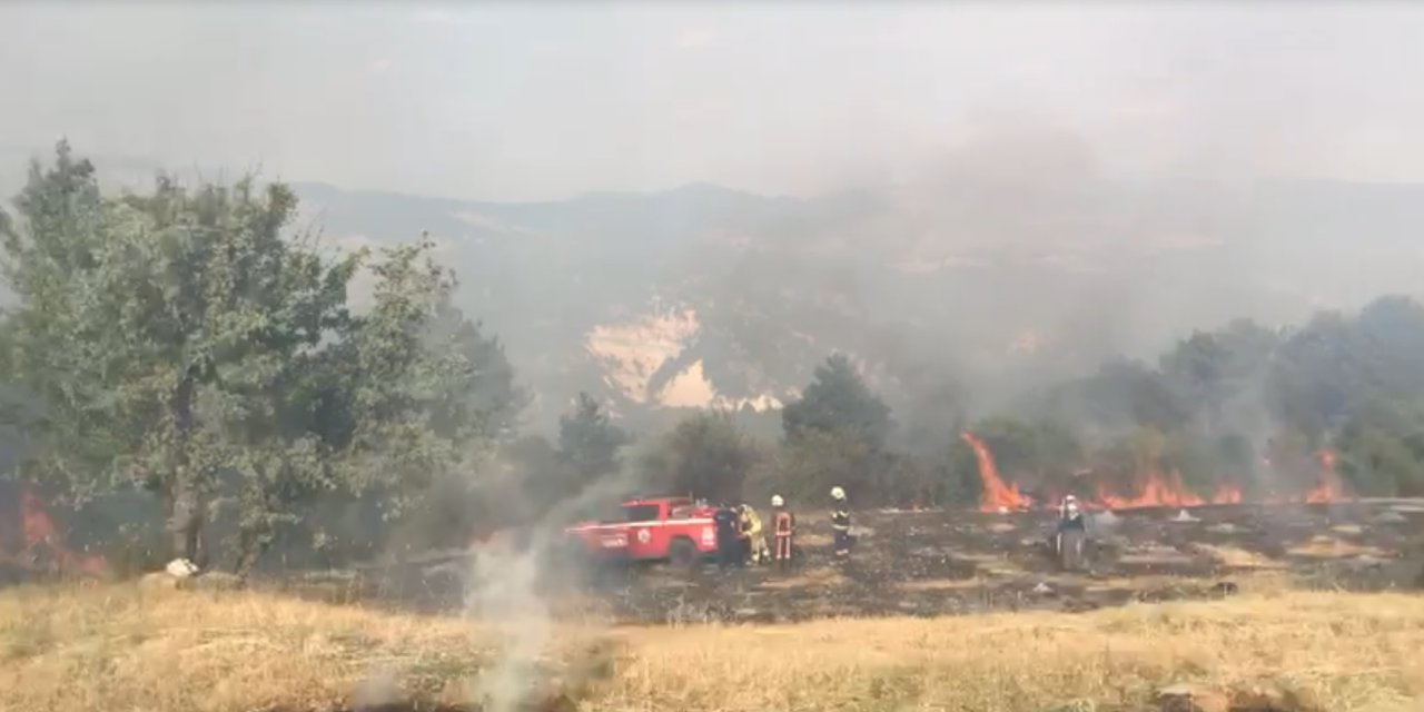 Tarım arazisinde çıkan yangın 3 saatte kontrol altına alındı