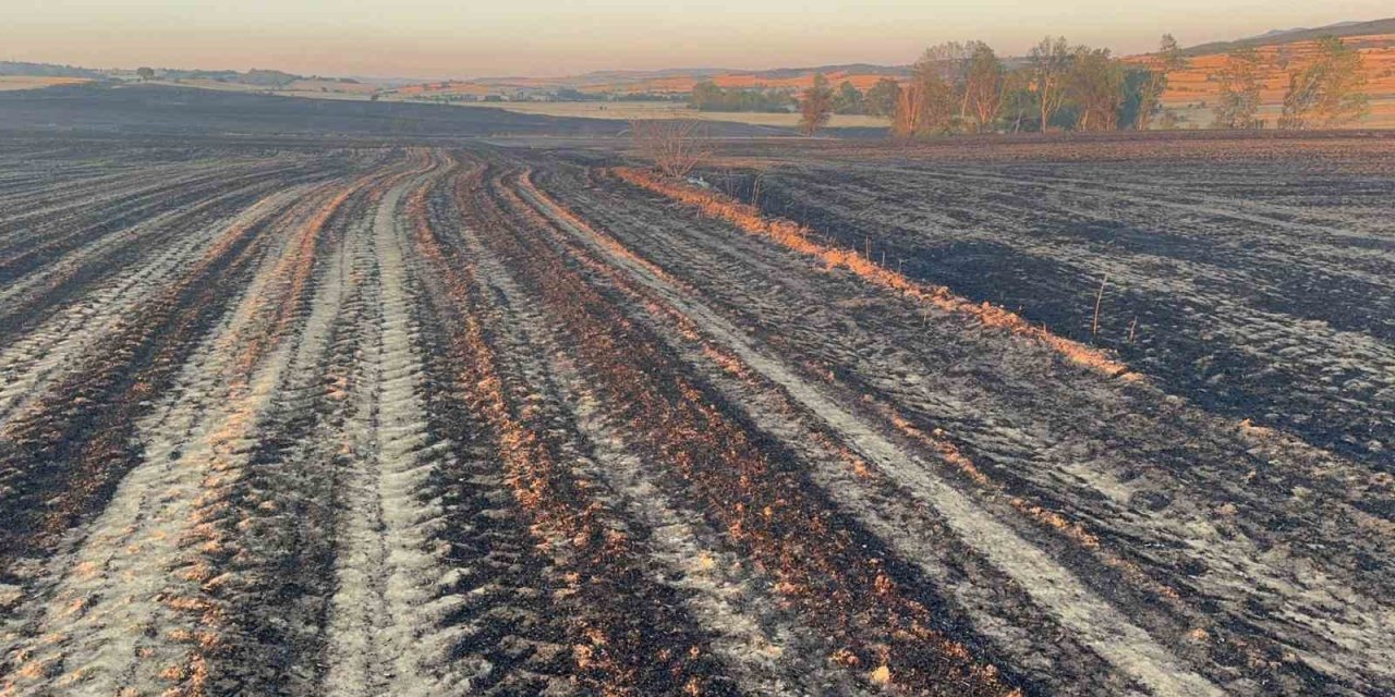 2 bin 500 dönüm ekili alan ve 200 adet arı kovanı yandı