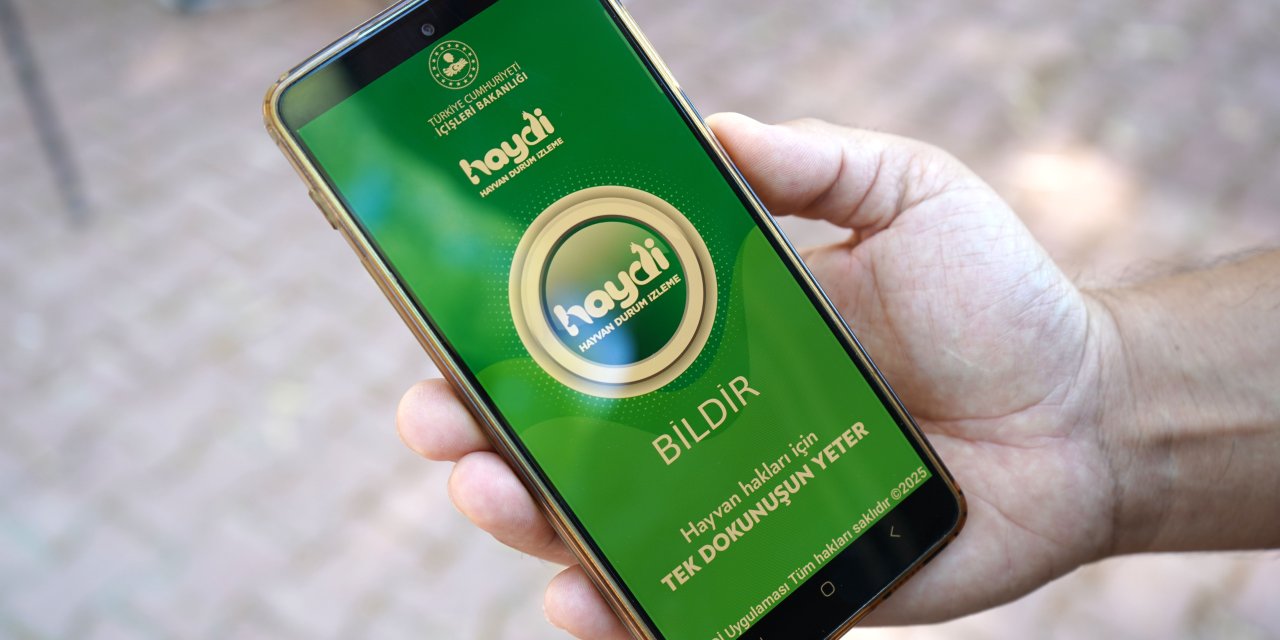Araçla hayvana çarpıp kaçmanın cezası 10 bin 385 TL