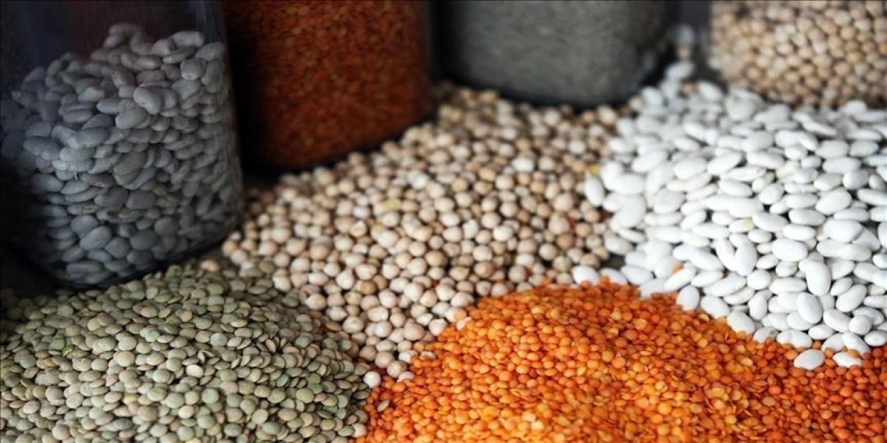 Güneydoğu'nun hububat ihracatı yılın ilk yarısında yüzde 8,7 arttı