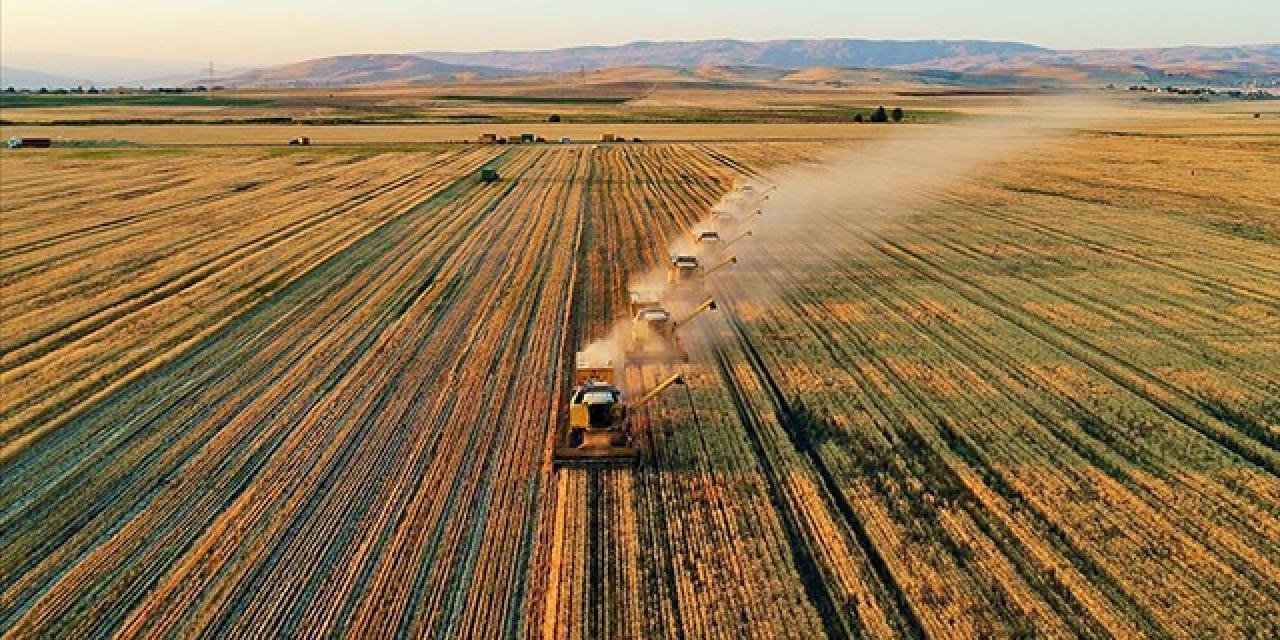 Çiftçilere 1,7 milyar liralık destekleme ödemesi yapılacak