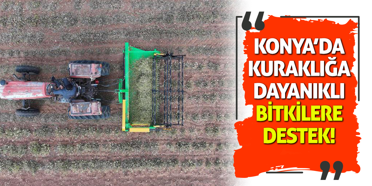Konya’da Kuraklığa Dayanıklı Bitkilere Destek!