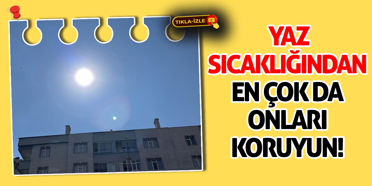 Yaz sıcaklığından en çok da onları koruyun!