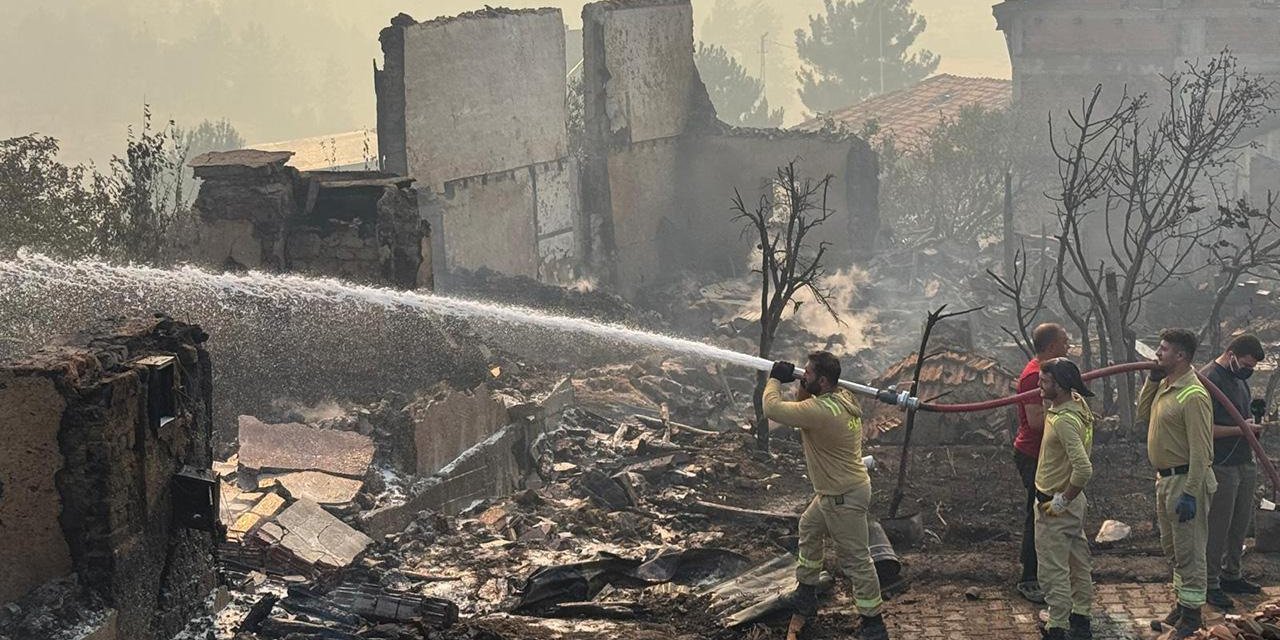 Sakarya'daki orman yangınıyla mücadele 4 gündür sürüyor