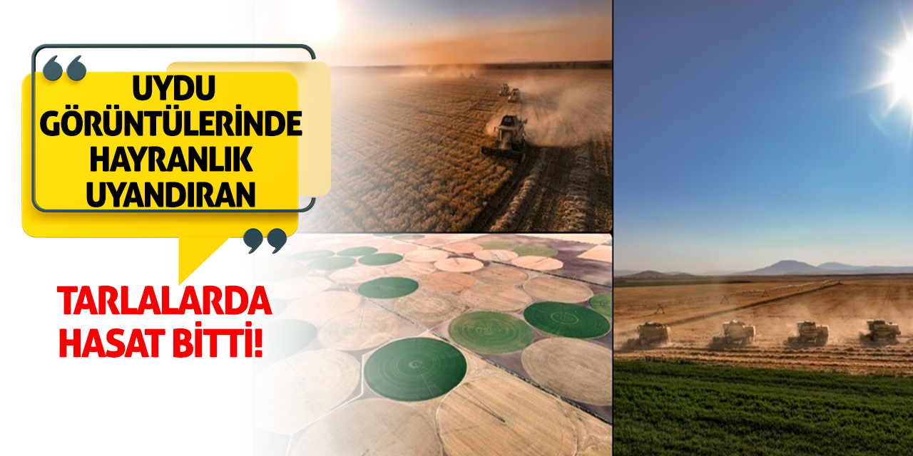 Uydu Görüntülerinde Hayranlık Uyandıran Tarlalarda Hasat Bitti!