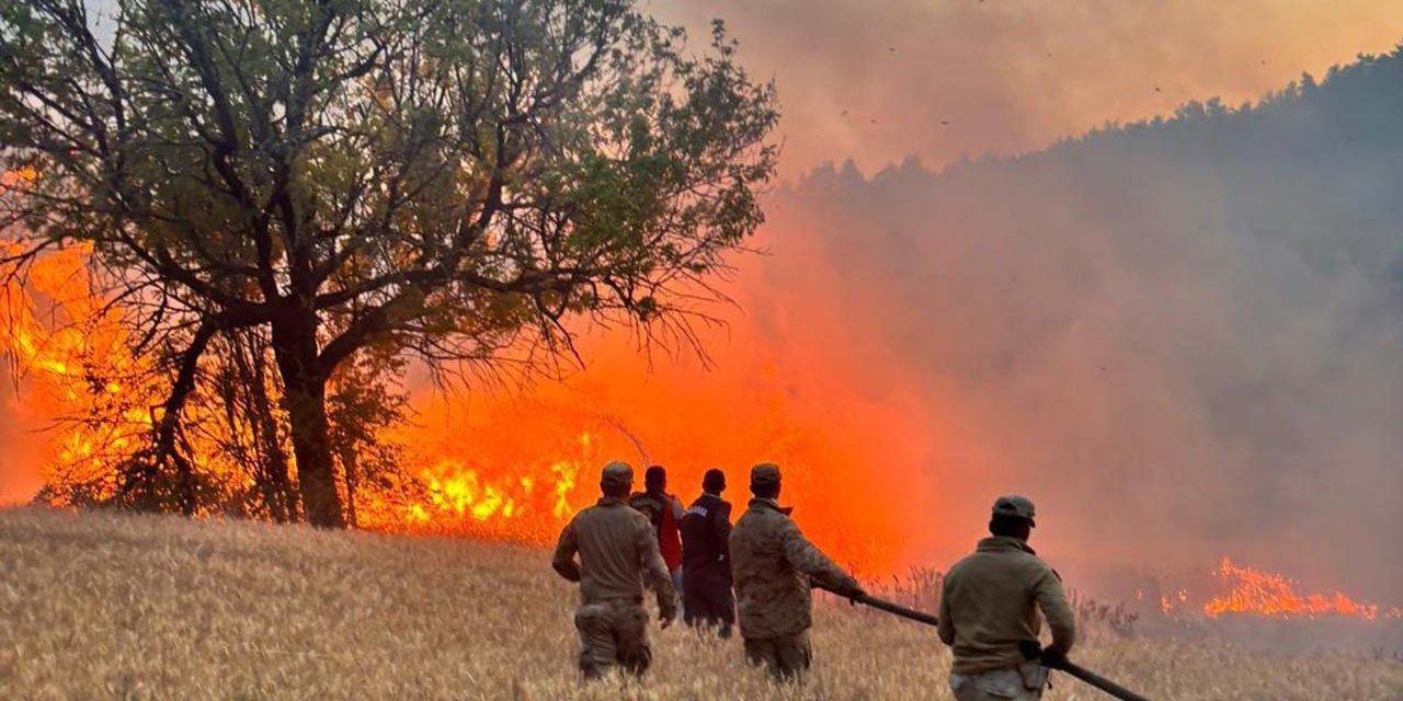 Yangın riski yüksek olan bölgelerde 'Risk Yönetim Ekibi' oluşturuldu