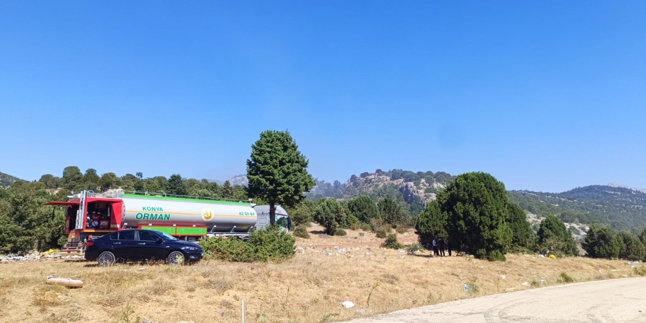 Çöplükte başlayan yangın ormana sıçradı