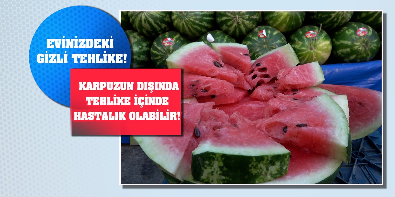 Evinizdeki gizli tehlike! Karpuzun dışında tehlike içinde hastalık olabilir!