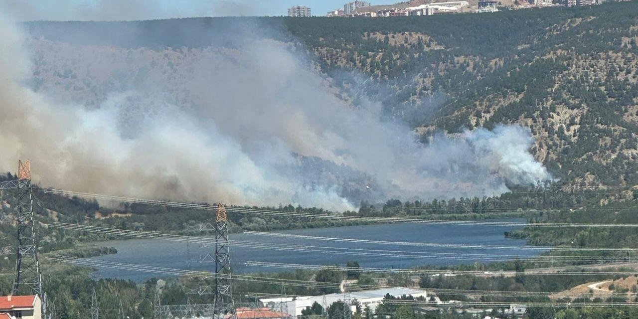 Eymir'de orman yangını