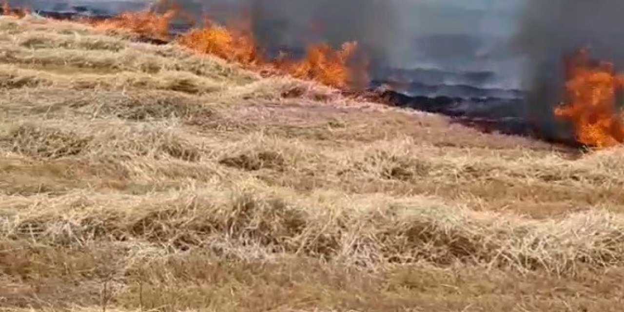 Beyşehir’de korkutan anız yangını, evlere sıçramadan söndürüldü