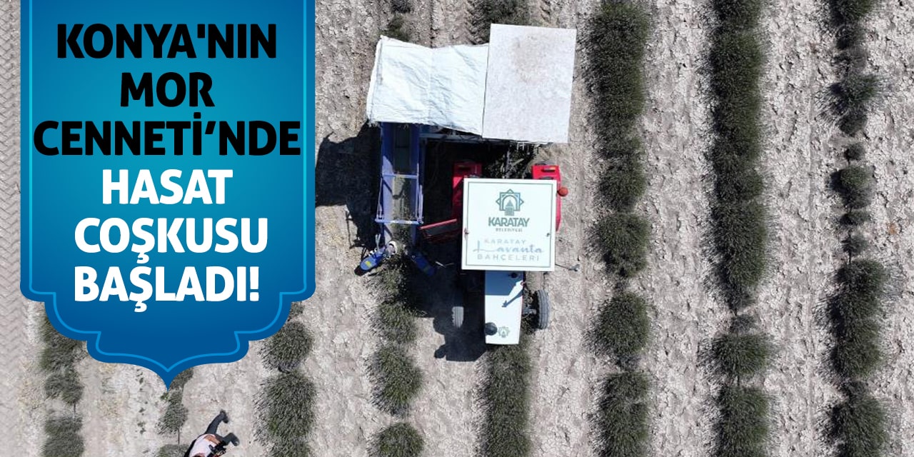 Konya'nın Mor Cenneti’nde Hasat Coşkusu Başladı!