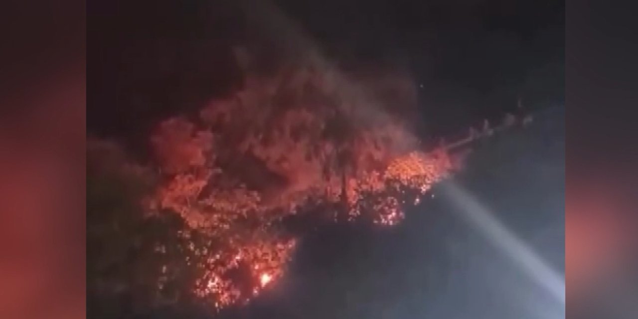 Attıkları havai fişek yangın çıkardı: 4 gözaltı!