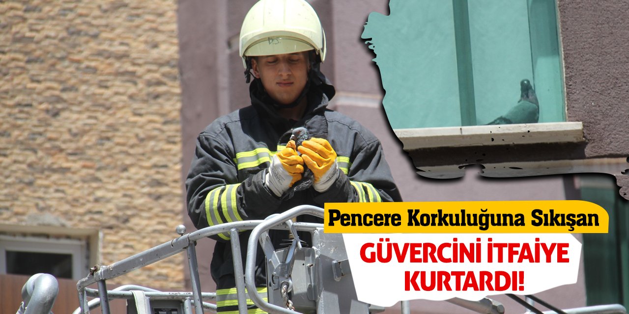 Pencere Korkuluğuna Sıkışan Güvercini İtfaiye Kurtardı!