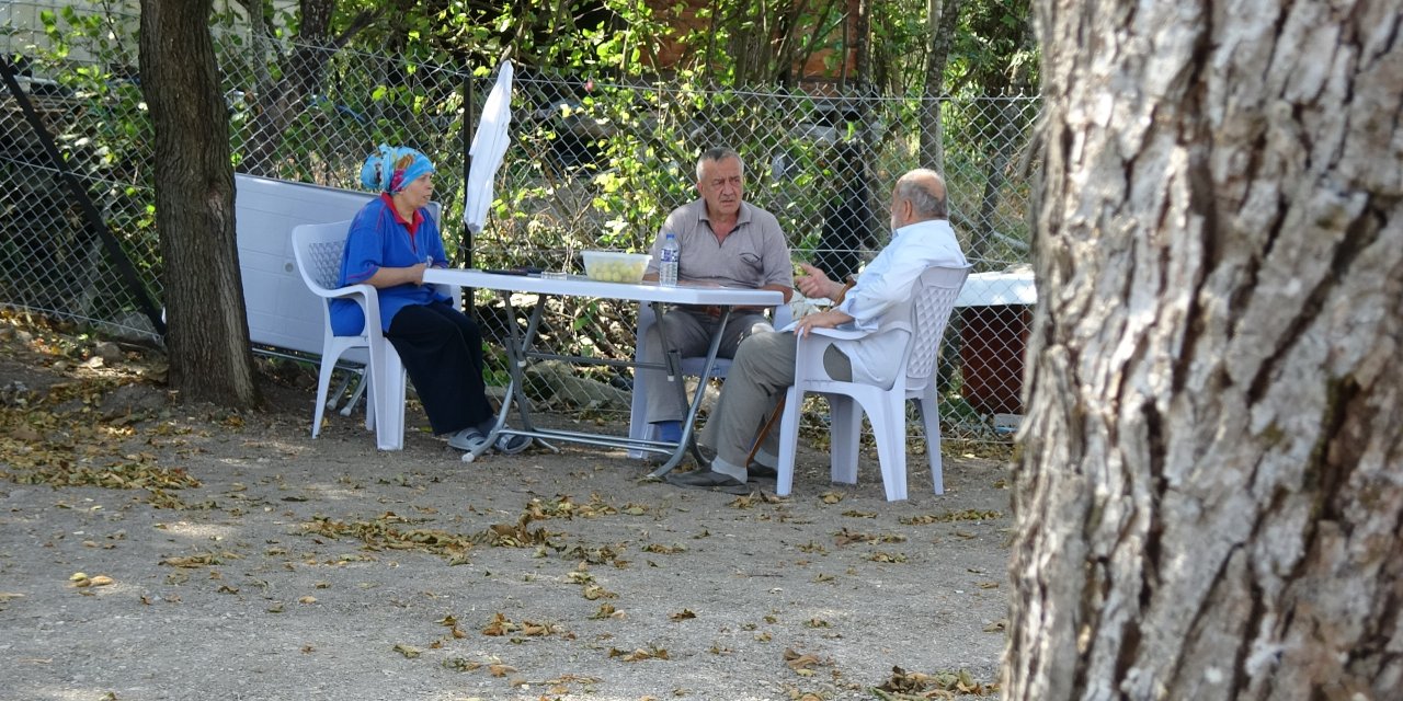 Orman yangınında 60 yıl sonra aynı acıyı yaşadı