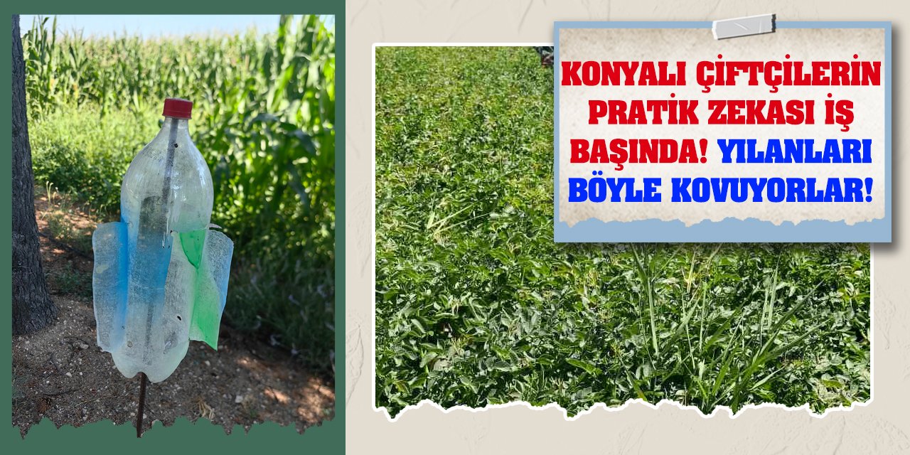 Konyalı çiftçilerin pratik zekası iş başında!