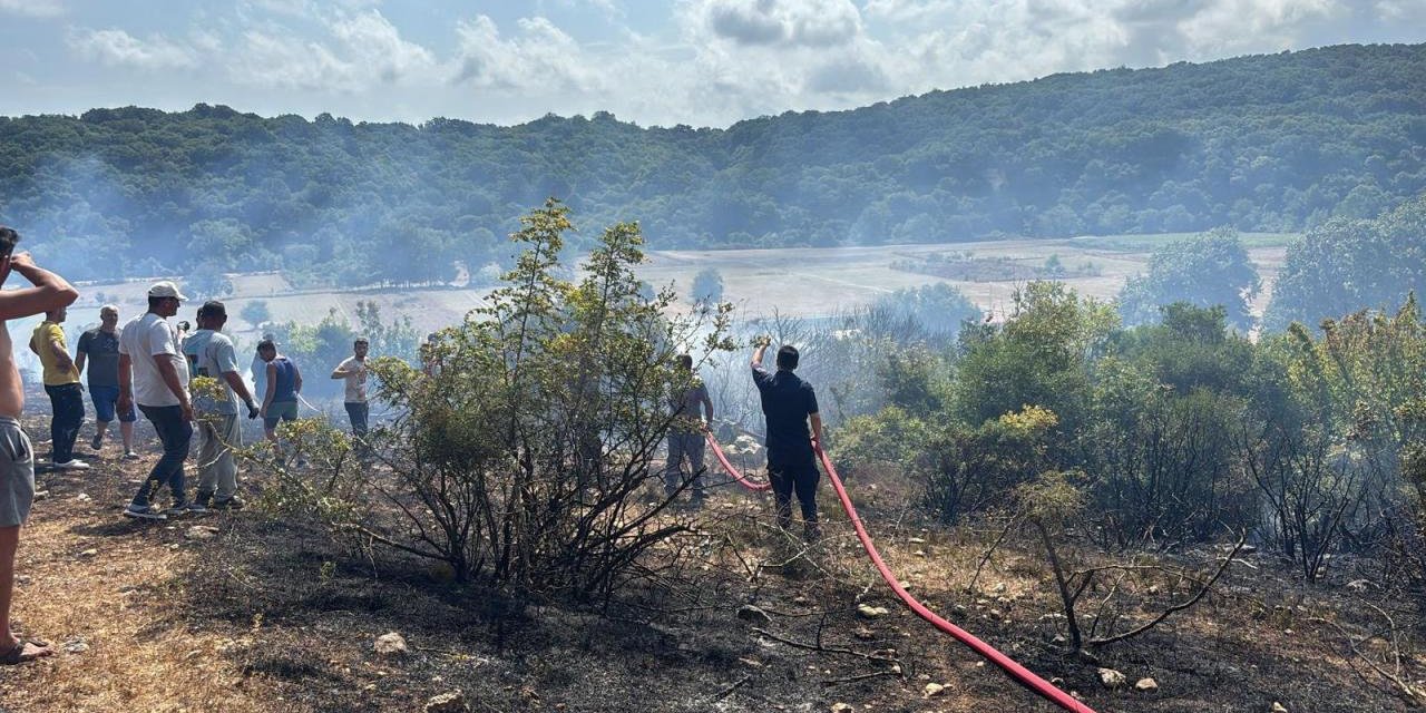 Kırklareli'nde çıkan orman yangını söndürüldü