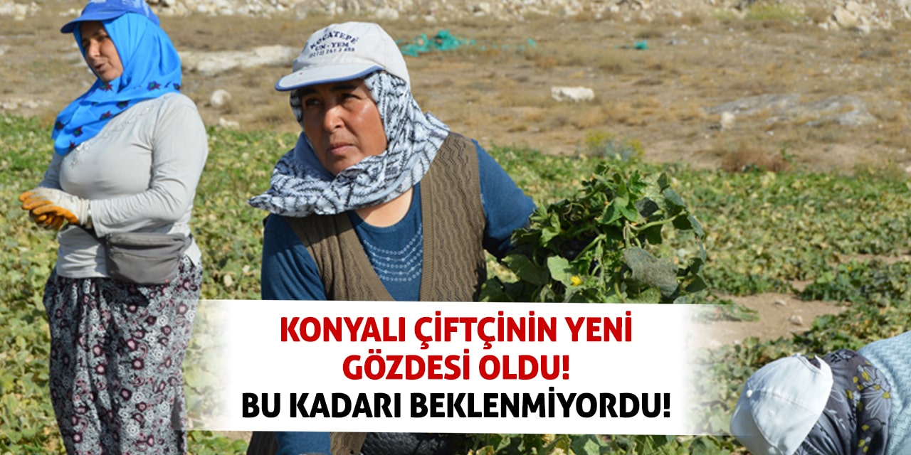 Konyalı çiftçinin yeni gözdesi oldu! Bu kadarı beklenmiyordu!