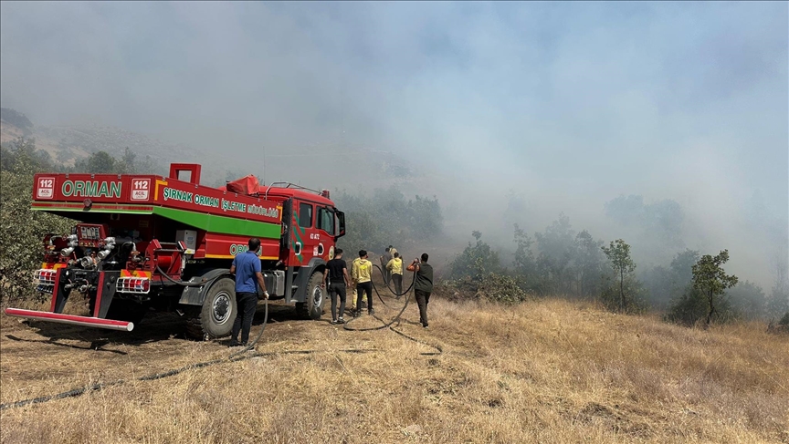 Şırnak Ormanları Alevlerden Kurtuldu