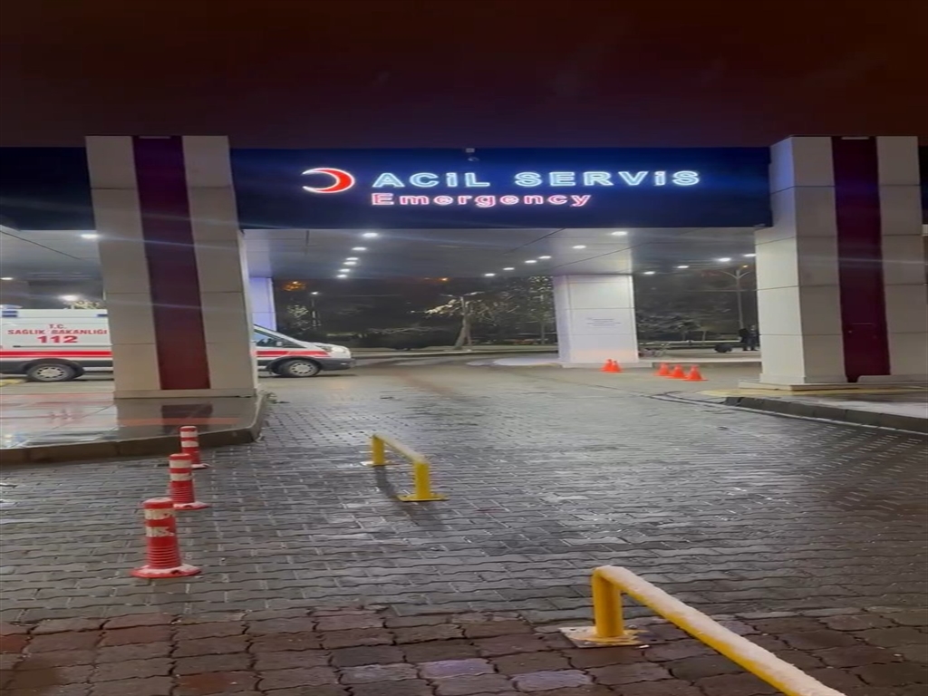 Kuzenini başından vurarak öldürdü!