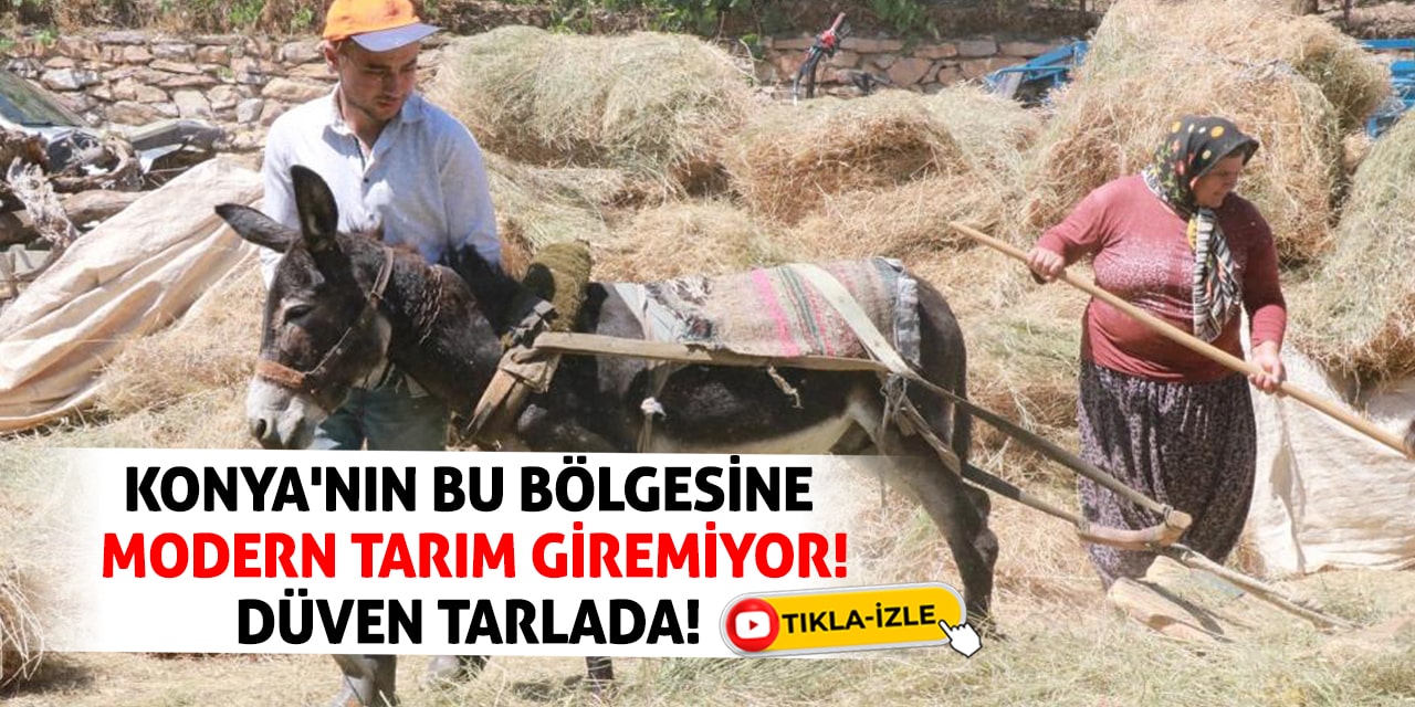 Konya'nın bu bölgesine modern tarım giremiyor! Düven tarlada!
