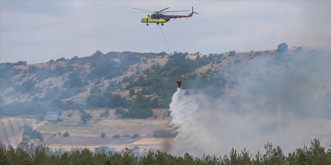 Doğu Anadolu Bölgesi'nde 2025'te 4 yangın çıktı