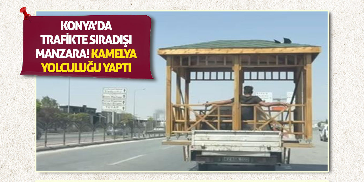 Konya’da Trafikte Sıradışı Manzara! Kamelya Yolculuğu Yaptı