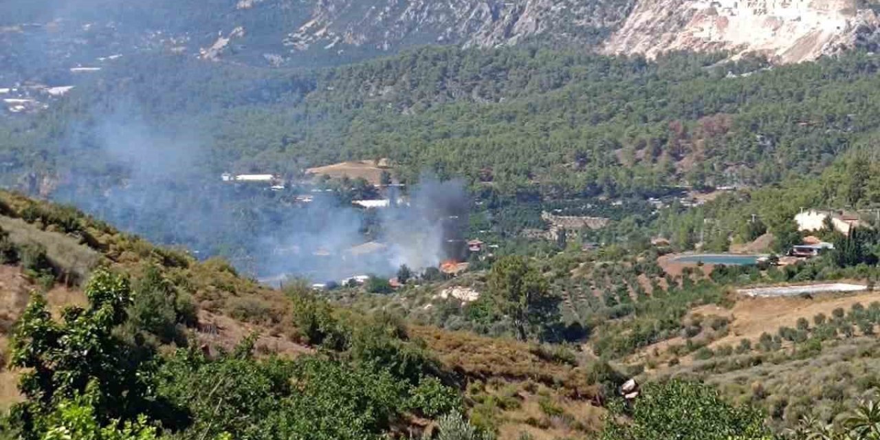 Örtü yangını ormanlık alana sıçramadan söndürüldü