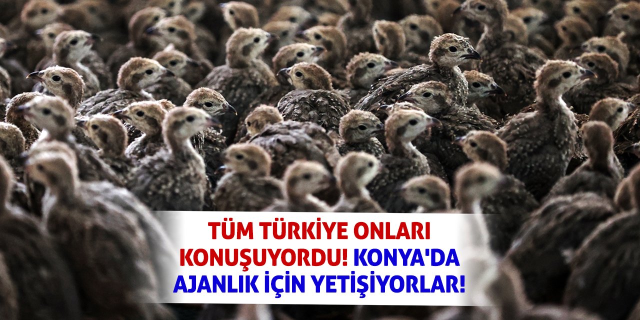 Tüm Türkiye Onları Konuşuyordu! Konya'da Ajanlık İçin Yetişiyorlar!