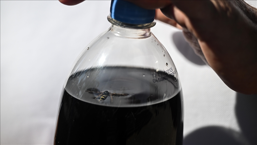 Kola Kutusundan Ölü Arı Çıktı! Dev Şirkete Dava Açıldı