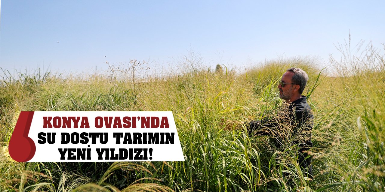 Konya Ovası’nda Su Dostu Tarımın Yeni Yıldızı!