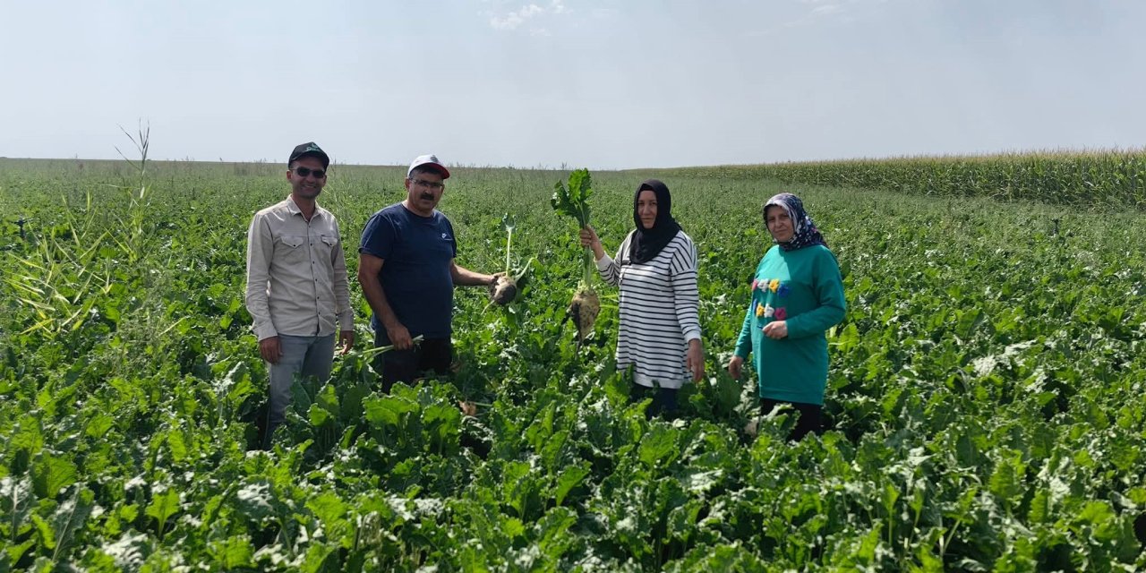 Konya Ovası’nda Bitki Gelişimi ve Sorunlar Masada!