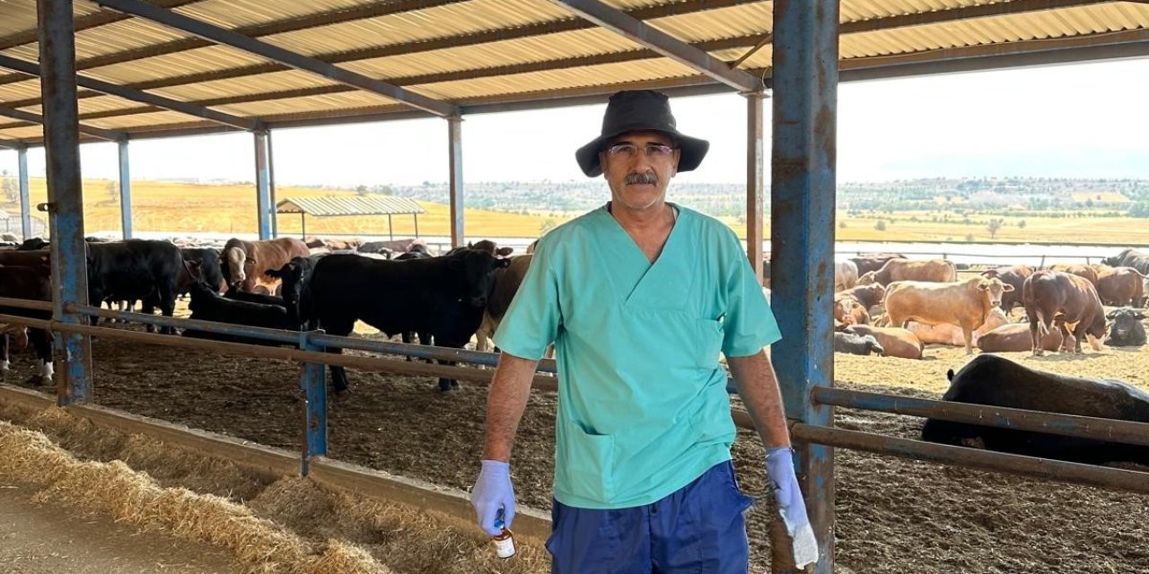 Beyşehir’de büyükbaş hayvanlar aşıyla koruma altında