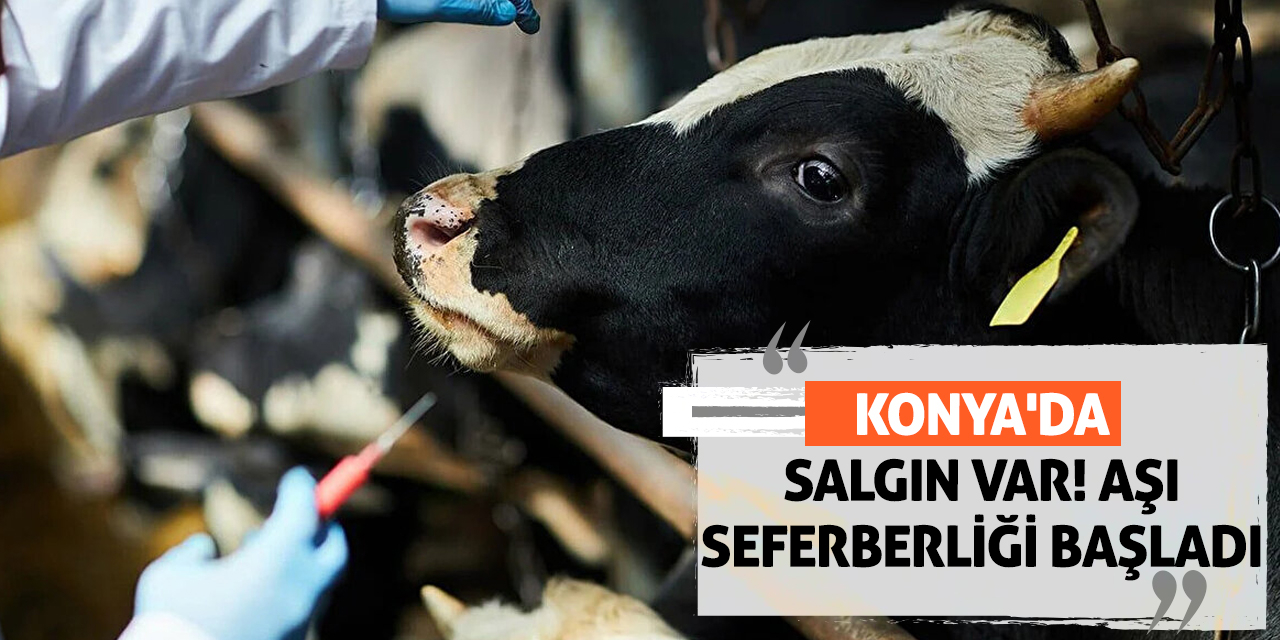 Konya'da salgın var! Aşı seferberliği başladı