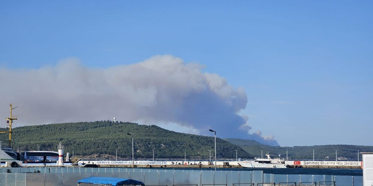 Çanakkale Gelibolu'da orman yangını