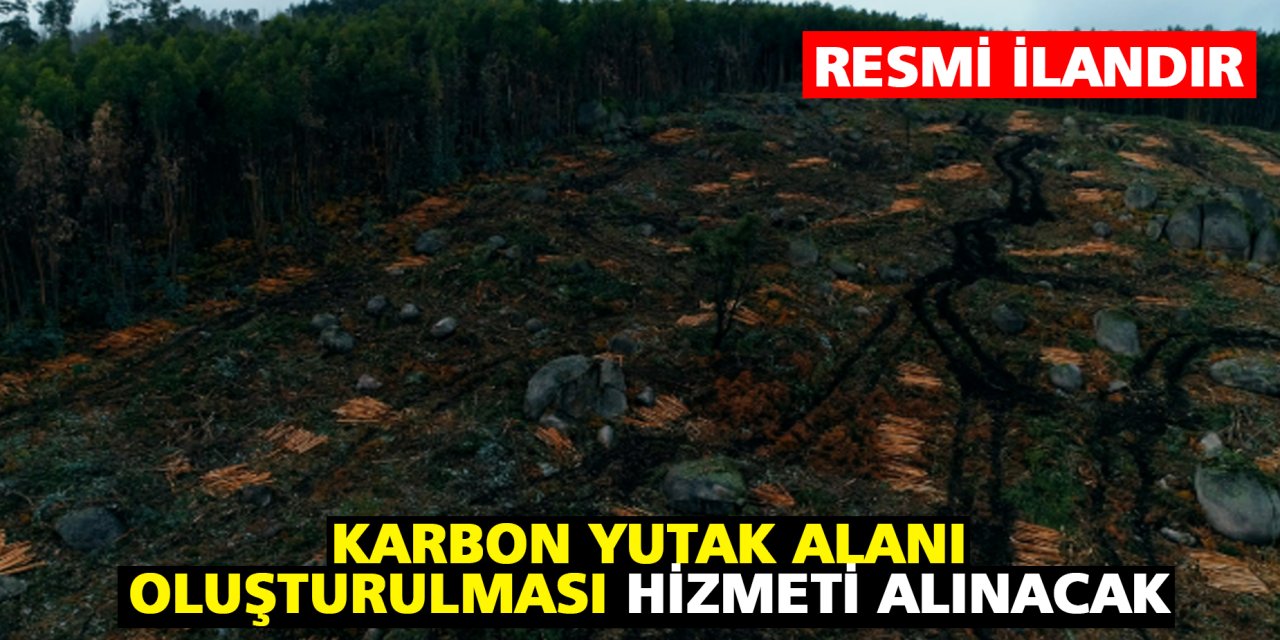 Karbon Yutak Alanı Oluşturulması Hizmeti Alınacak