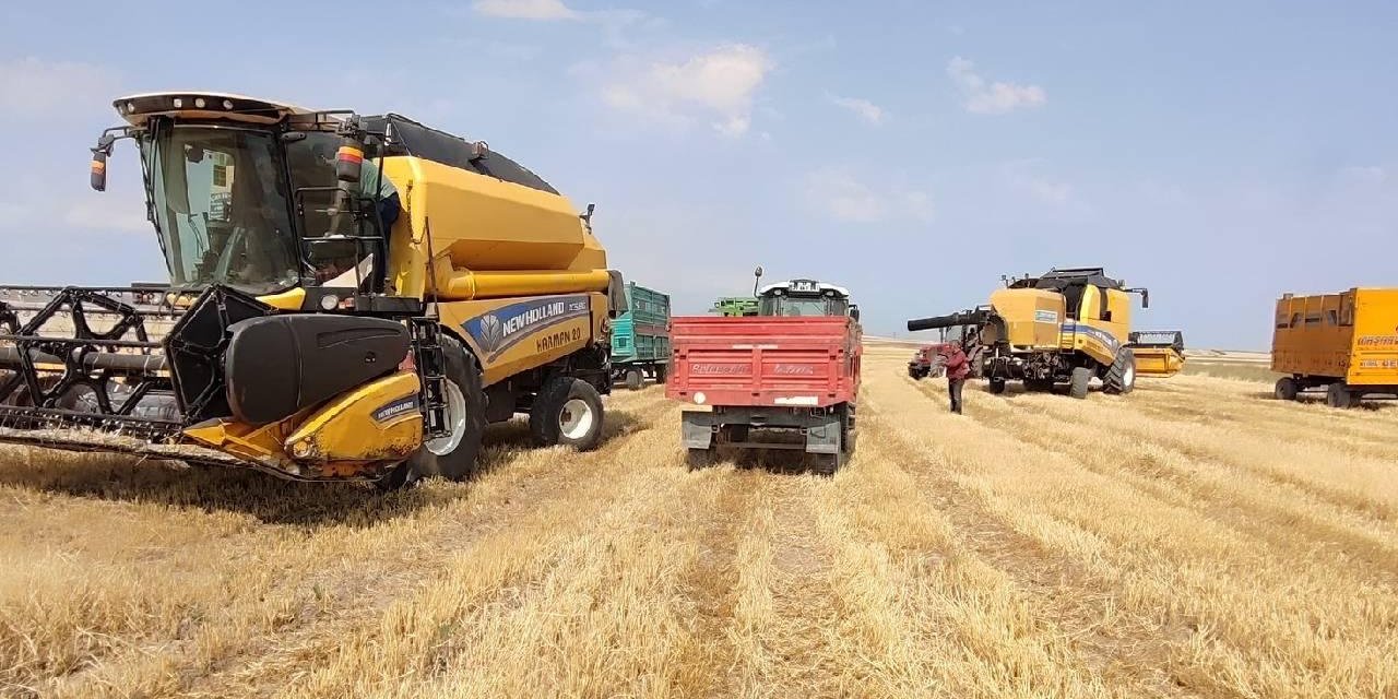 Tarımsal girdi fiyat endeksi haziranda arttı