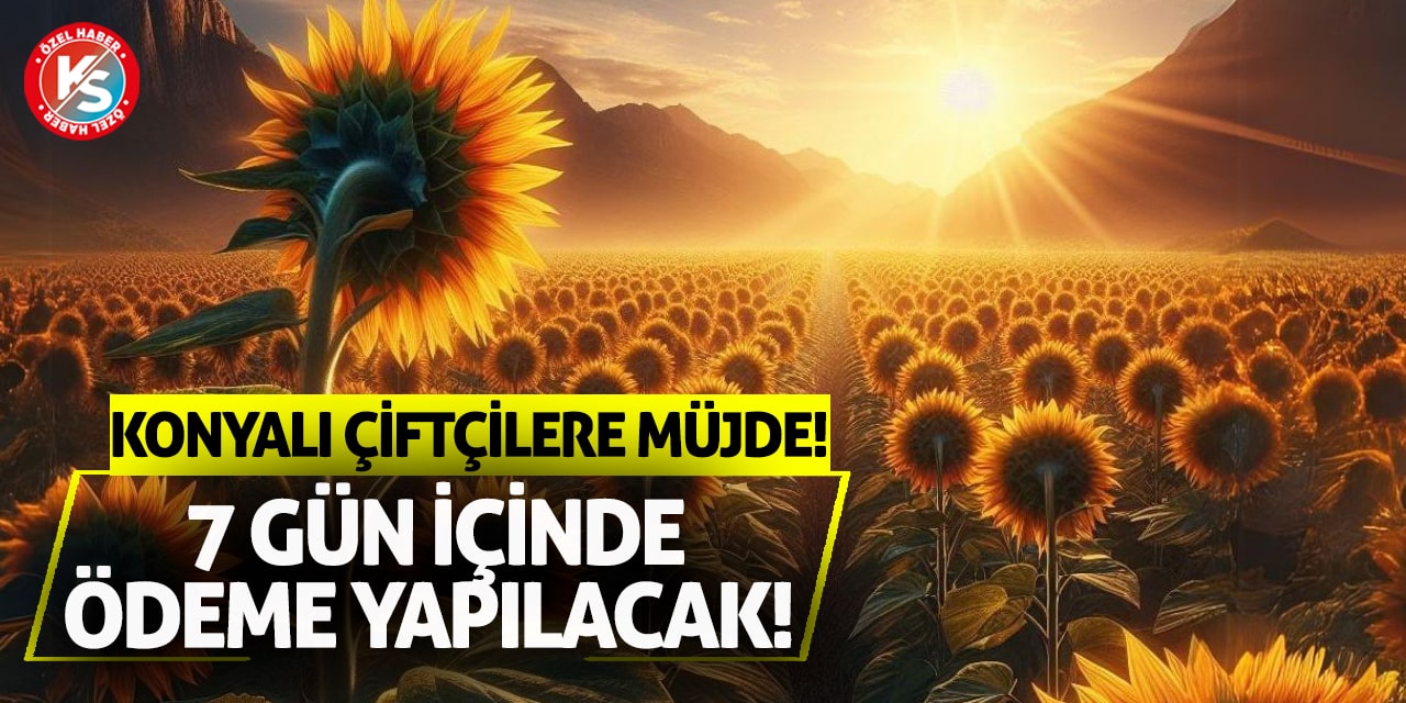 Konyalı çiftçilere müjde! 7 gün içinde ödeme yapılacak!