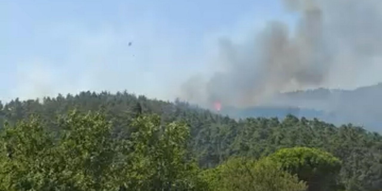 Çanakkale'de orman yangını