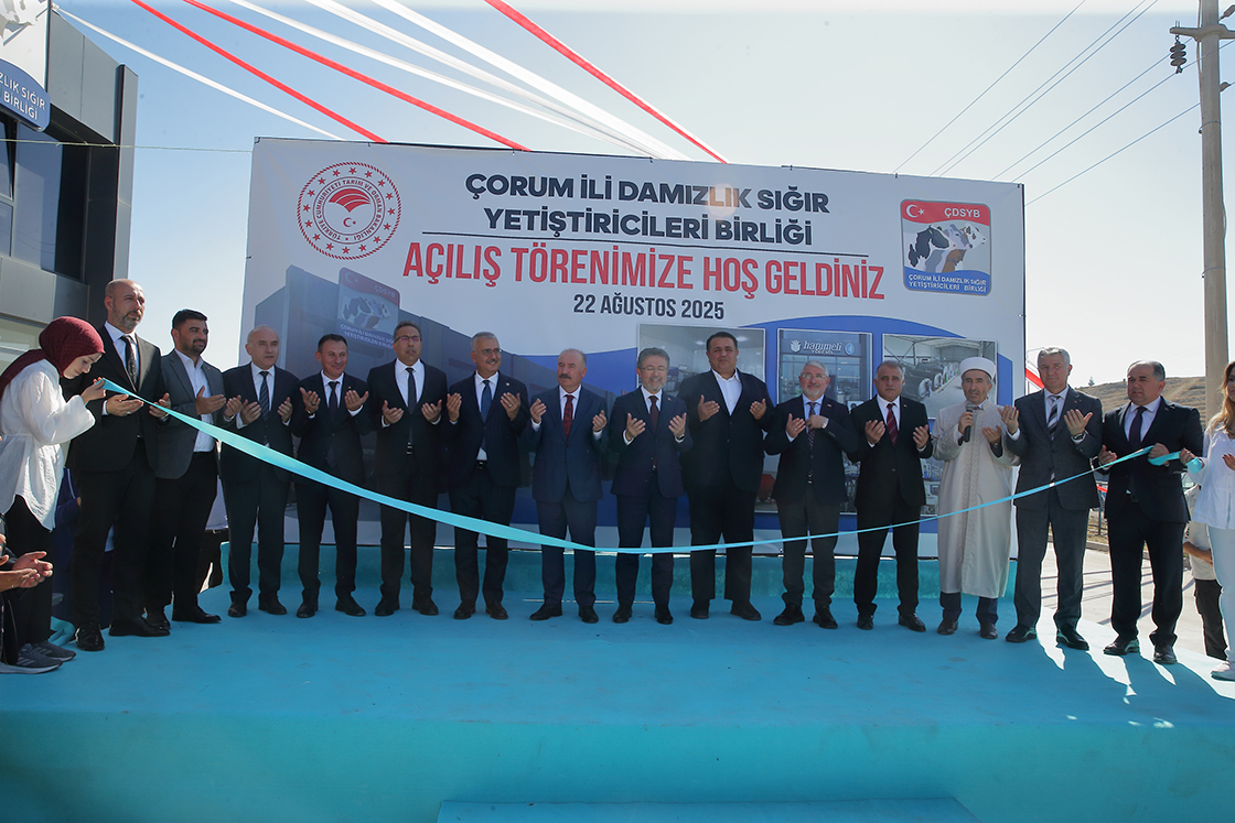 17 ilde hayvan pazarları açılacak!