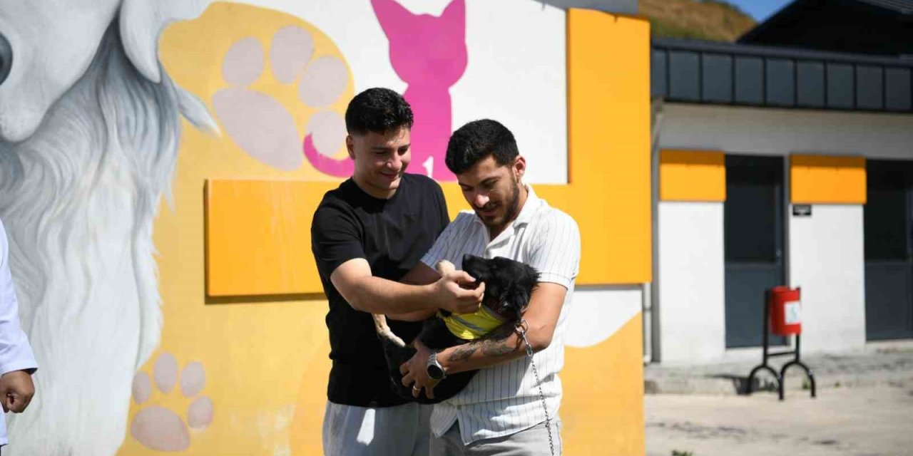 'Zift' yeni yuvasına kavuştu