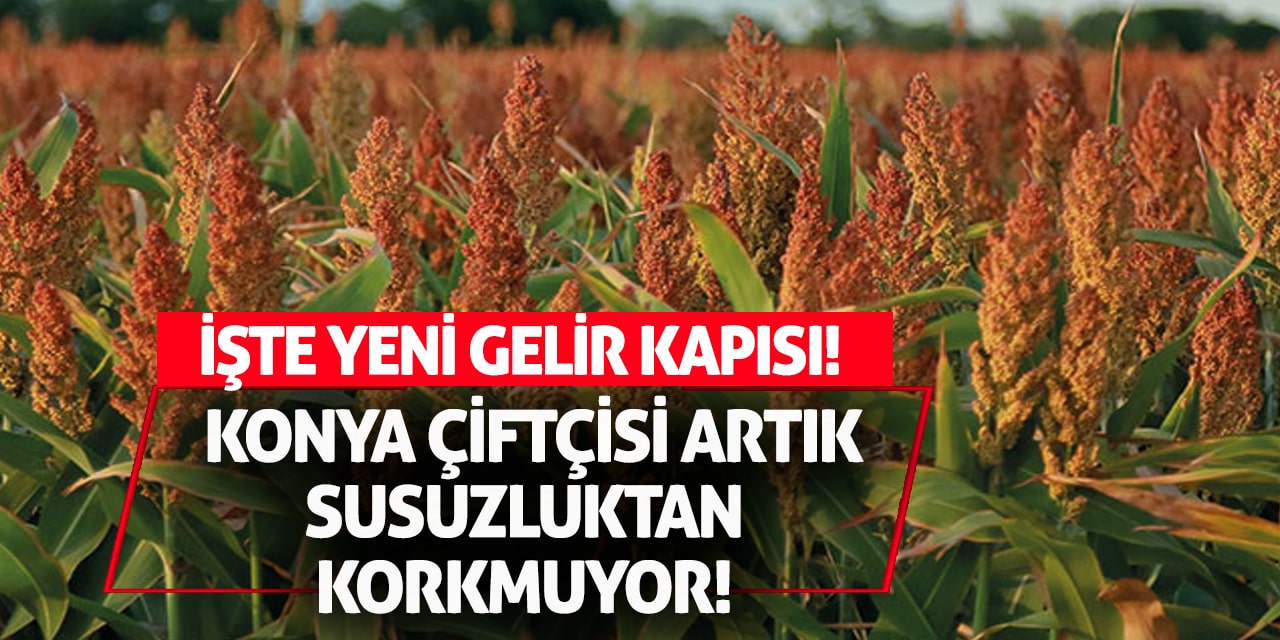 Konya Çiftçisi Artık Susuzluktan Korkmuyor! İşte Yeni Gelir Kapısı!
