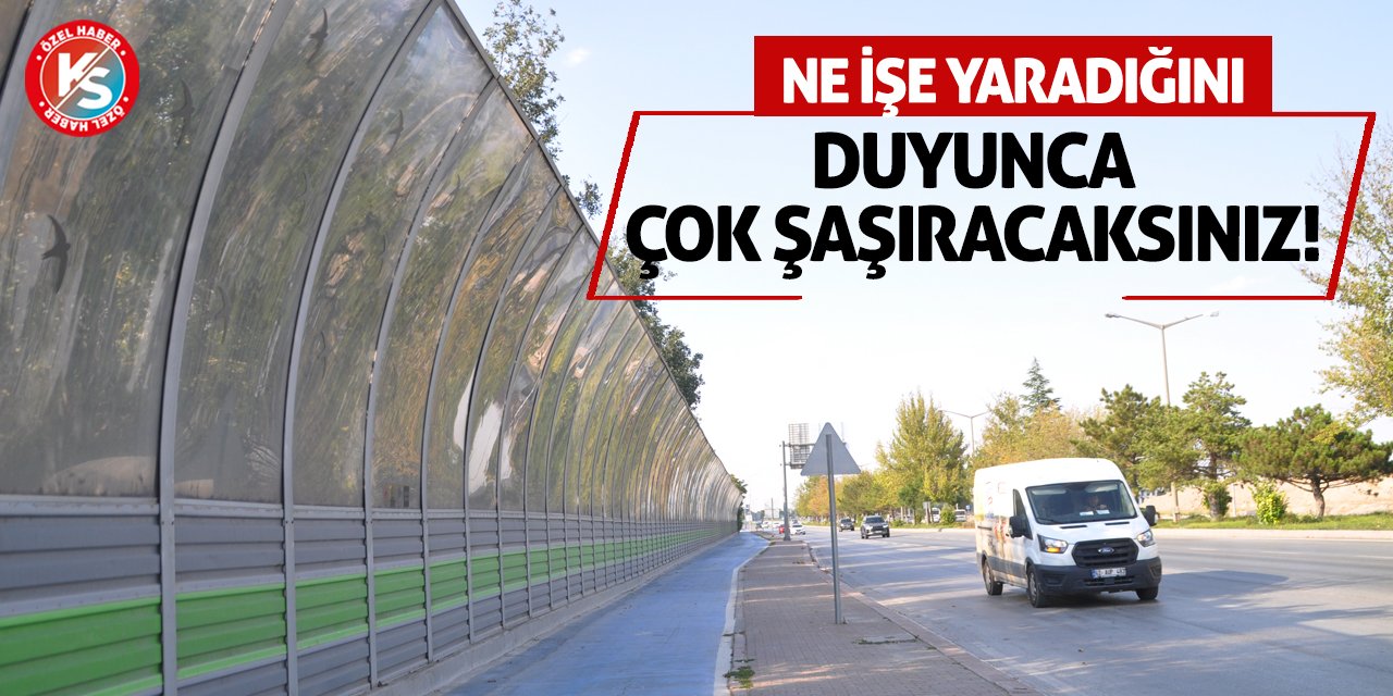 Ne İşe Yaradığını Duyunca Çok Şaşıracaksınız!