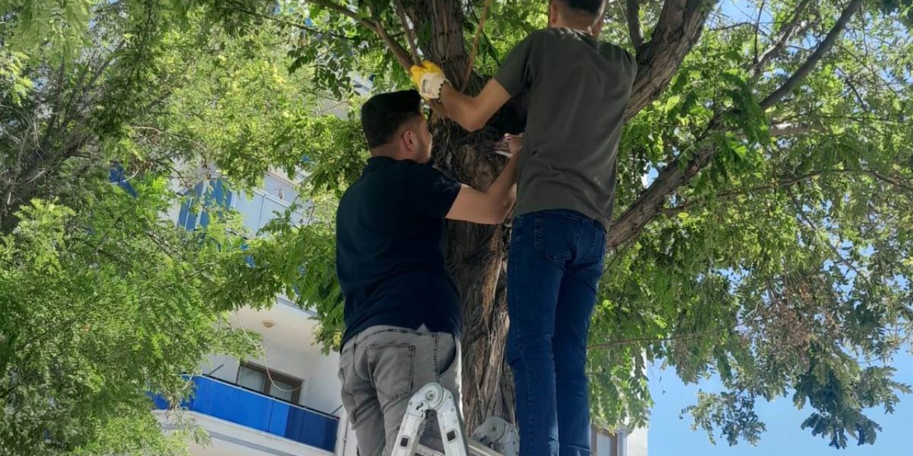 Konya Esnafı Pervane Oldu!