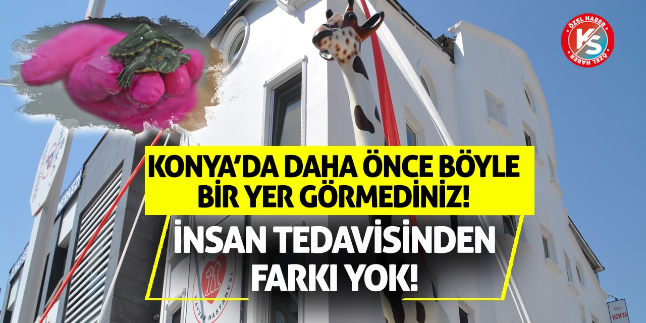 Konya'da Daha Önce Böyle Bir Yer Görmediniz! İnsan Tedavisinden Farkı Yok!