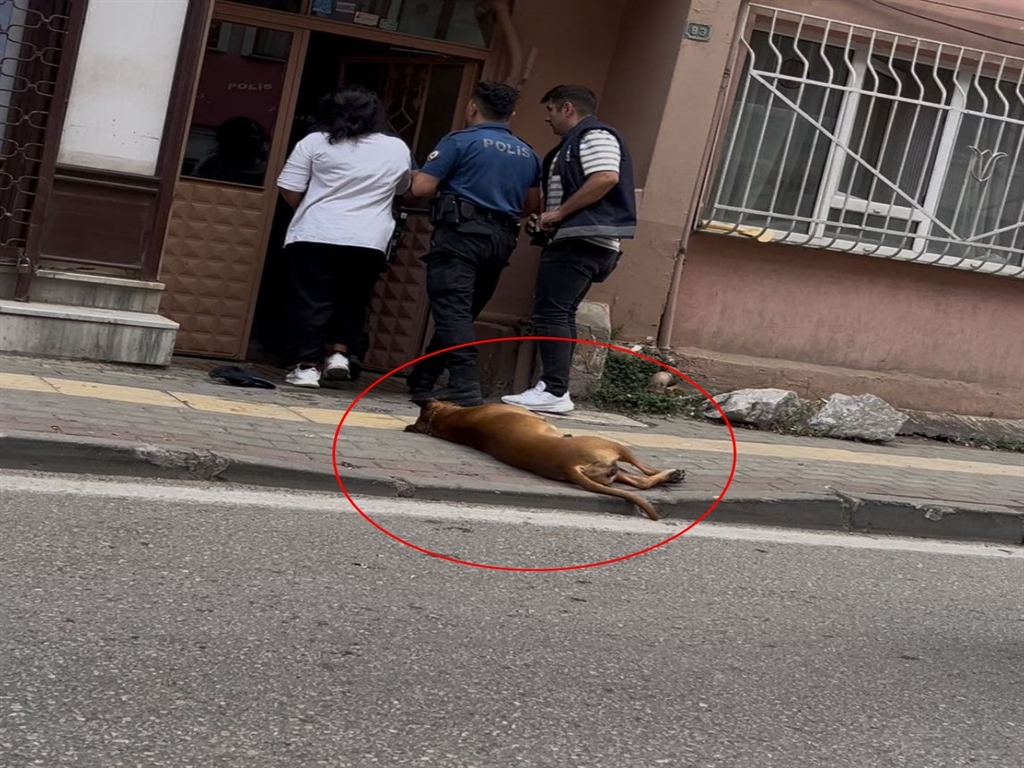 Aile Kavgasına Müdahale Eden Polisleri Köpek ve Sahibi Issırdı!