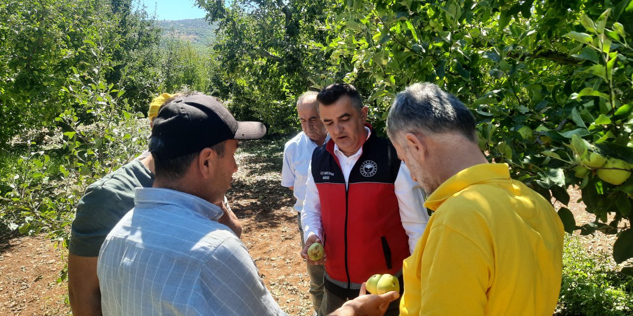 Emekler Doluya Yenik Düştü! Konya'da Üretici Mağdur