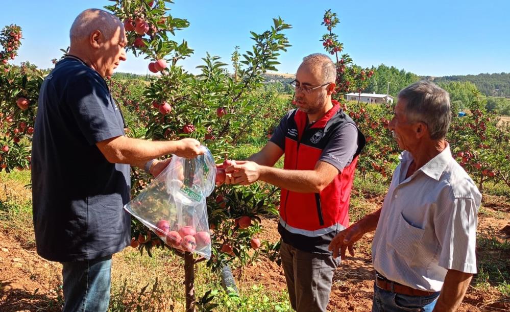 Konya'da hasat öncesi pestisit denetimleri gerçekleştirildi